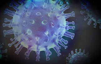 Nova Fátima, Ribeirão do Pinhal e Santa Mariana confirmam casos de Covid-19