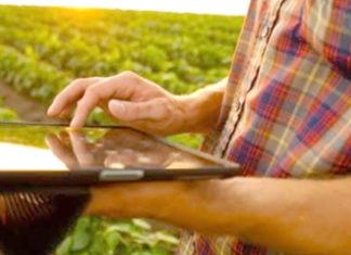 EaD do SENAR-PR disponibiliza 32 cursos gratuito