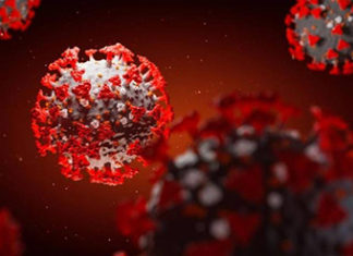 Covid-19: TCE-PR cria comissão específica para fiscalizar gastos municipais