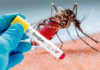 Número de casos confirmados da Dengue chega a 4.464 e da Covid-19 a 33 no Município DENGUE
