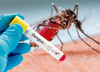 Número de casos confirmados da Dengue chega a 4.464 e da Covid-19 a 33 no Município DENGUE