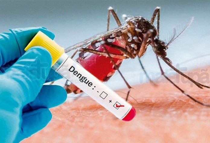 DENGUE