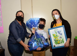 Lançado Projeto Crotalária de controle biológico contra mosquito da Dengue Ecell