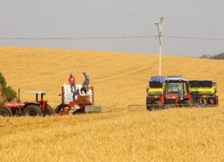 Boletim agropecuário ressalta início do plantio da soja no Paraná