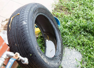 Agrinho 2020: Inscrições para concursos da água e dengue estão abertas AGRINHO