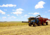 Paraná deverá produzir 40 milhões de toneladas de grãos