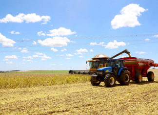 Paraná deverá produzir 40 milhões de toneladas de grãos