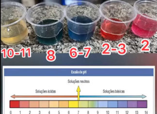 Com sucesso, Colégio ECEL promove Feira de Ciências Virtual