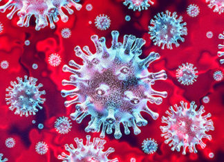 Paraná ultrapassa 5 mil óbitos por Coronavírus COVID