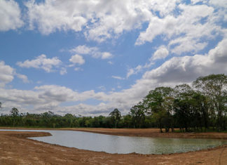 Sapopema vai ganhar parque urbano para lazer e preservação ambiental SAPOPEMA