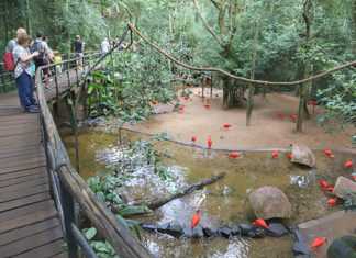 Pesquisa quer saber sobre as intenções de viagens dos turistas TURISMO