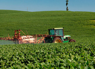 Adapar esclarece regras sobre o uso do Paraquat na safra 2020/21 ADAPAR