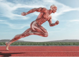 Inscrições abertas para evento de Medicina do Esporte MEDICINA DO ESPORTE