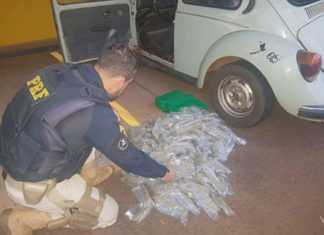 Bandeirantenses são presos por transportar drogas