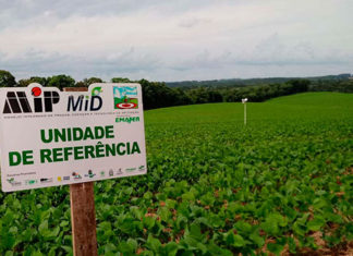 Serviço Alerta Ferrugem da soja entra em funcionamento SISTEMA-FERRUGEM