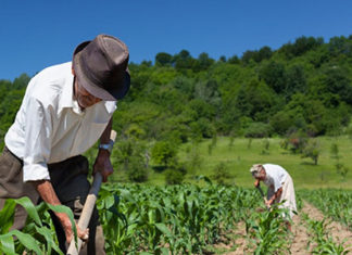 FAEP orienta sobre como conseguir o benefício APOSENTADORIA RUAL