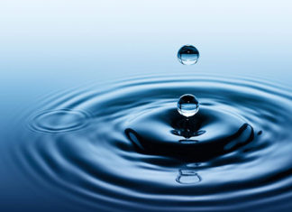 Concursos das campanhas do Sistema FAEP/SENAR-PR recebem mais de 2 mil inscrições FAEP CAMPANHAS