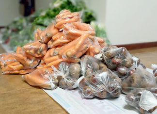 Estado abre chamada pública para agricultura familiar CHAMADA PUBLICA