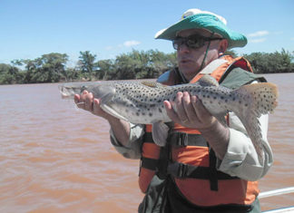 A pesca de espécies nativas no Paraná fica proibida até 28 de fevereiro de 2021 piracema