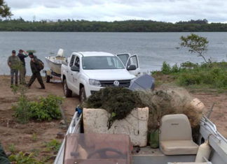 Força-tarefa salva matrizes de peixes e garante repovoamento dos rios Agentes do IAT e da Polícia Civil