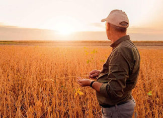 Abertura de novas vagas para curso de seguro agrícola