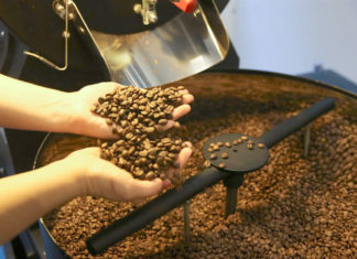 Pequenos produtores comemoram primeira exportação direta de cafés especiais