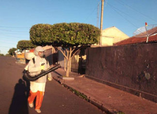 Agentes de Endemias realizam bloqueio contra mosquito da Dengue