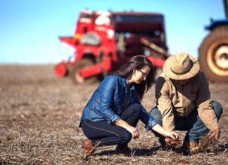 Sicredi disponibiliza R$ 6,9 bilhões para pré-custeio da próxima safra