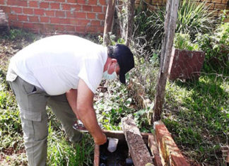 Paraná registra 425 novos casos de dengue