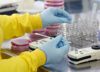 Paraná confirma cinco casos de pessoas infectadas com a variante P1 da Covid-19