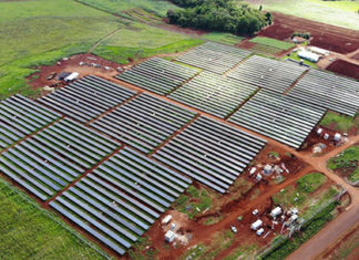 Usina solar da Copel em Bandeirantes começa a gerar energia Copel