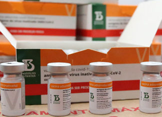 Paraná recebe novo lote com 258,4 mil doses de vacinas contra Covid-19