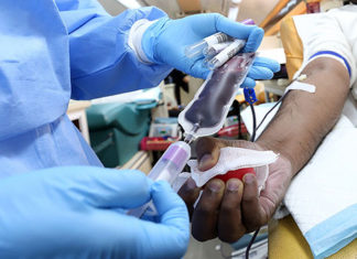 Com queda nas doações de sangue, Hemepar pede ajuda à população