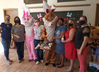 Com novos projetos de gestão, professores dinamizam processos de ensino e aprendizagem