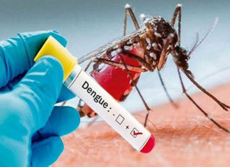 Informe semanal da dengue registra 2.056 novos casos e mais um óbito