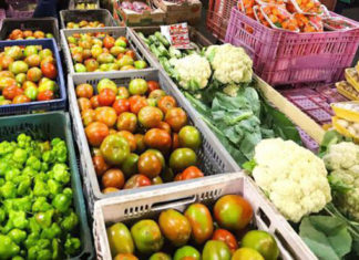 Compra Direta atende 118 entidades do Norte Pioneiro