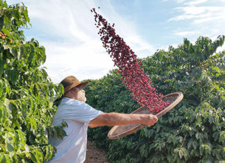 Turismo é foco de projetos do Paraná Produtivo no Norte Pioneiro