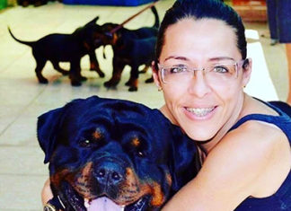 Além de grandes amigos, cães podem ser verdadeiros protetores da vida humana