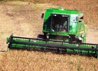 Safra de grãos 2020/21 deve ser de 38,6 milhões de toneladas