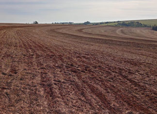 Vazio sanitário da soja segue até 10 de setembro