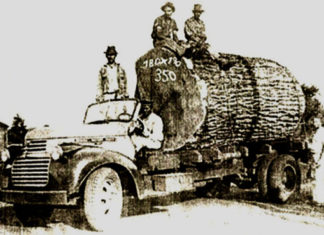 Fragmentos da Nossa História: