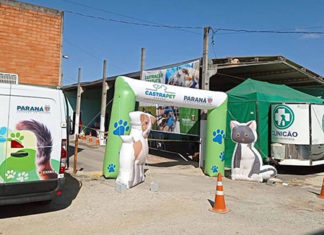 Programa Permanente Castrapet será realizado em Cambará
