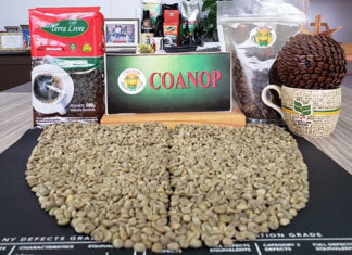 Cooperativa de São Jerônimo da Serra é beneficiada com emenda de R$ 150 mil