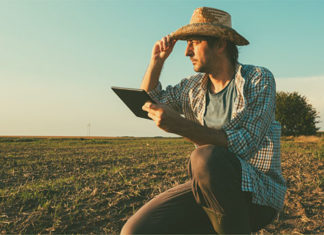 E-Social altera regras para informação sobre comercialização