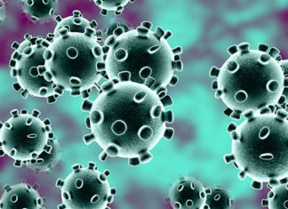 Norte Pioneiro registra queda de números de infecções pelo novo coronavírus