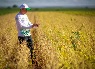Entrega da declaração do ITR 2021 começa no próximo dia 16