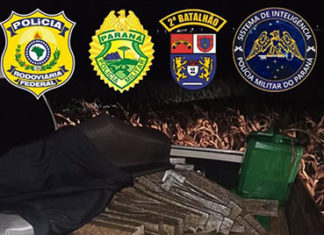 Ação conjunta apreende mais de mil quilos de maconha