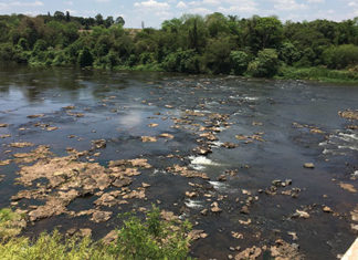 Crise hídrica proíbe pesca nos rios Cinza e Laranjinha