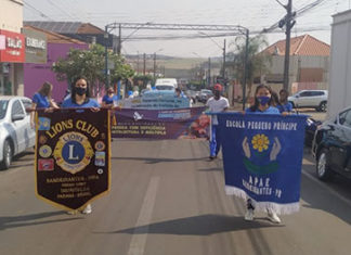Semana Nacional da Pessoa com Deficiência Intelectual e Múltipla SEMANA-APAE