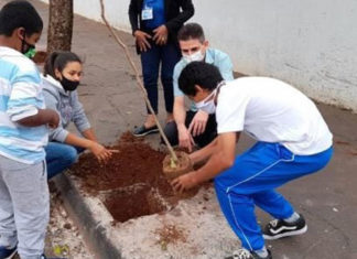Alunos encerram Semana da Pessoa com Deficiência com plantio de árvores